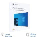 Windows 10 Professional