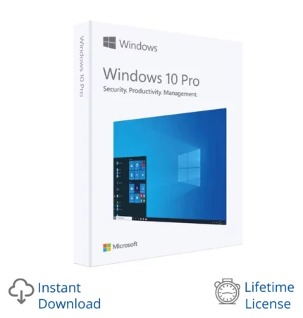 Microsoft Windows 10 Professional